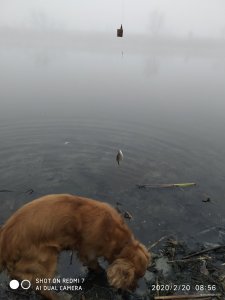 IMG_20200220_085603.jpg
