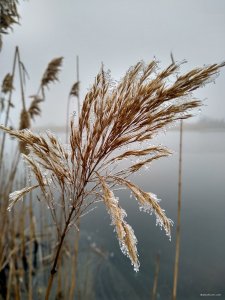 IMG_20200220_102318.jpg