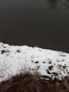 20200220_110055.jpg