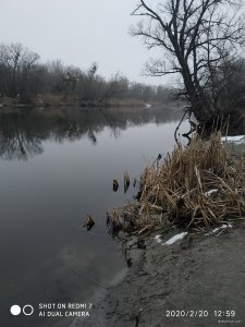 IMG_20200220_125918.jpg