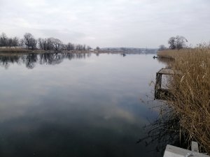 IMG_20200220_161146.jpg