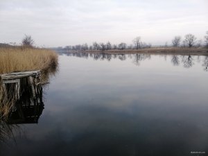 IMG_20200220_161153.jpg