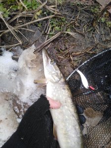 IMG_20200221_134456.jpg