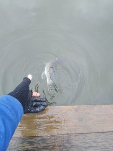 IMG_20200221_134504.jpg
