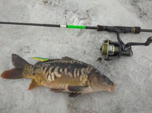 IMG_20200223_095514.jpg