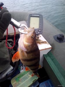 IMG_20200222_095810.jpg