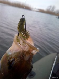 IMG_20200222_133628.jpg