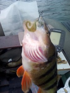 IMG_20200222_135056.jpg