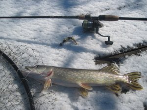 IMG_2028.JPG