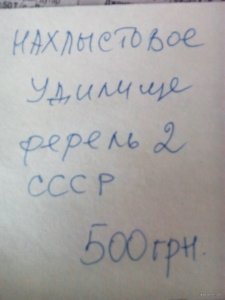 IMG_20200208_104035.jpg