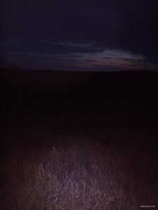 IMG_20200226_174427.jpg