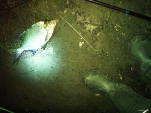 IMG_20200226_214510.jpg