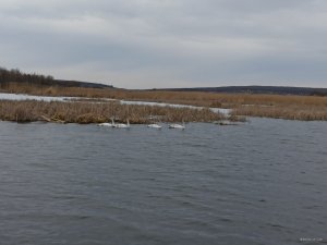 IMG_20200226_150319.jpg