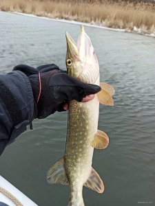 IMG_20200226_120910.jpg