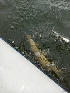 IMG_20200226_132503.jpg
