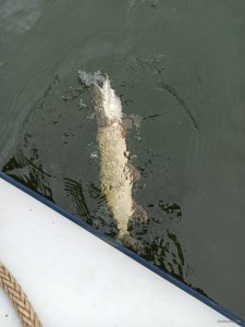 IMG_20200226_120943.jpg
