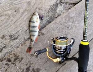 IMG_20200227_161659.jpg