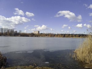 IMG_20200229_121958.jpg