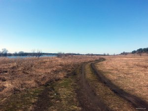 20180408_111144.jpg