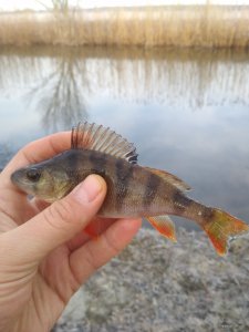 IMG_20200229_080159.jpg