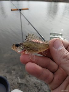 IMG_20200229_104848.jpg