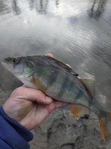 IMG_20200229_122004.jpg