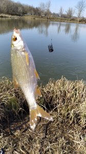 IMG_20200301_111627.jpg