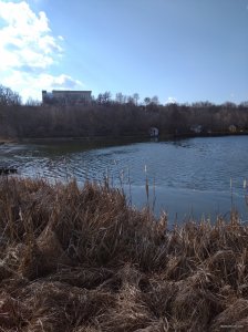 IMG_20200301_114636.jpg