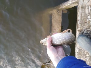 IMG_20200301_113428.jpg