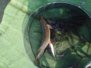 IMG_20200301_113410.jpg