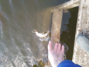 IMG_20200301_113429_1.jpg
