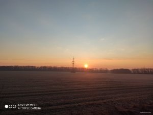 IMG_20200301_063200.jpg