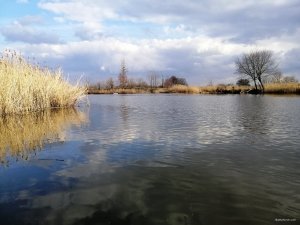 IMG_20200229_143455.jpg
