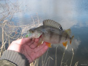 IMG_2058.JPG