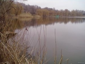 03032020023.jpg