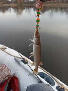 IMG_20200303_163853.jpg