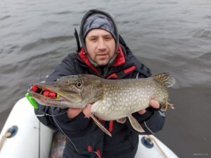 IMG_20200303_090422.jpg