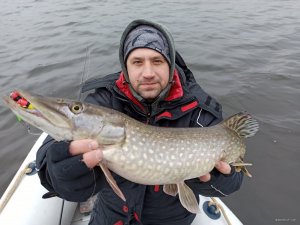 IMG_20200303_090400.jpg