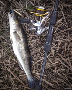 IMG_20200304_214305_363.jpg