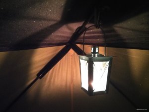 IMG_20190119_194300.jpg