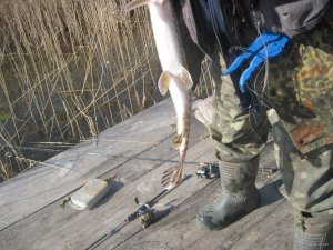 IMG_2091.JPG