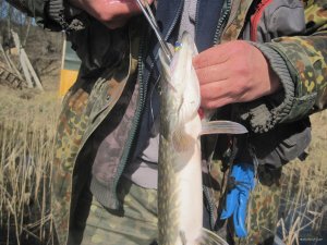 IMG_2092.JPG