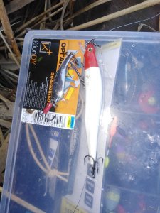 IMG_20200306_161024.jpg