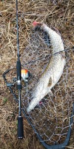 IMG_20200307_112147.jpg
