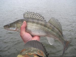 IMG_2115.JPG