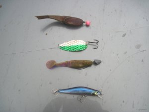 IMG_2119.JPG
