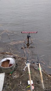 IMG_20200307_125754.jpg
