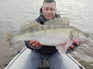 IMG_20200306_085843.jpg