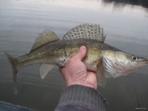 IMG_2120.JPG