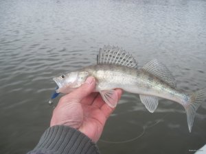 IMG_2123.JPG